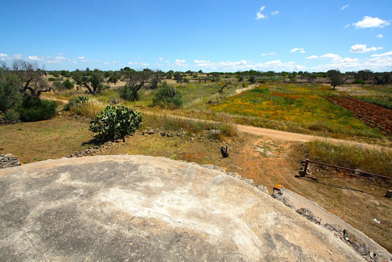 Immagine 15 di Terreno in vendita  in Strada Vicinale Rischiazzi a Parabita