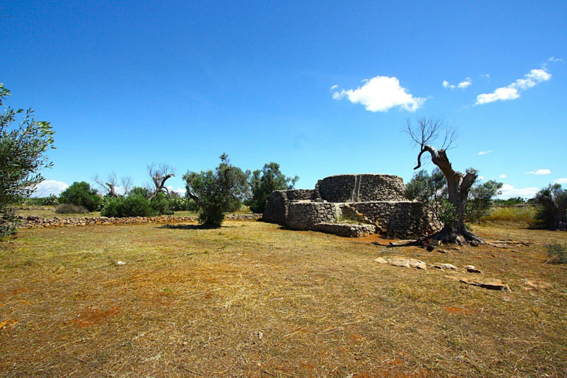Immagine 18 di Terreno in vendita  in Strada Vicinale Rischiazzi a Parabita