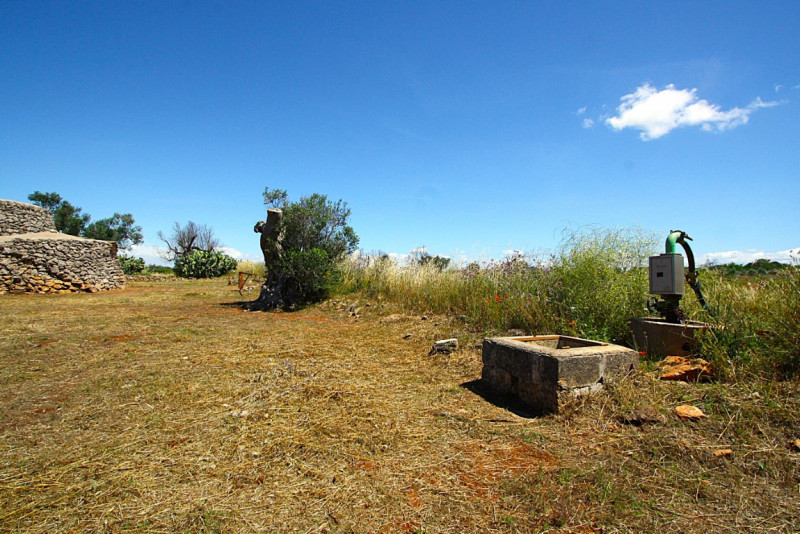 Immagine 20 di Terreno in vendita  in Strada Vicinale Rischiazzi a Parabita