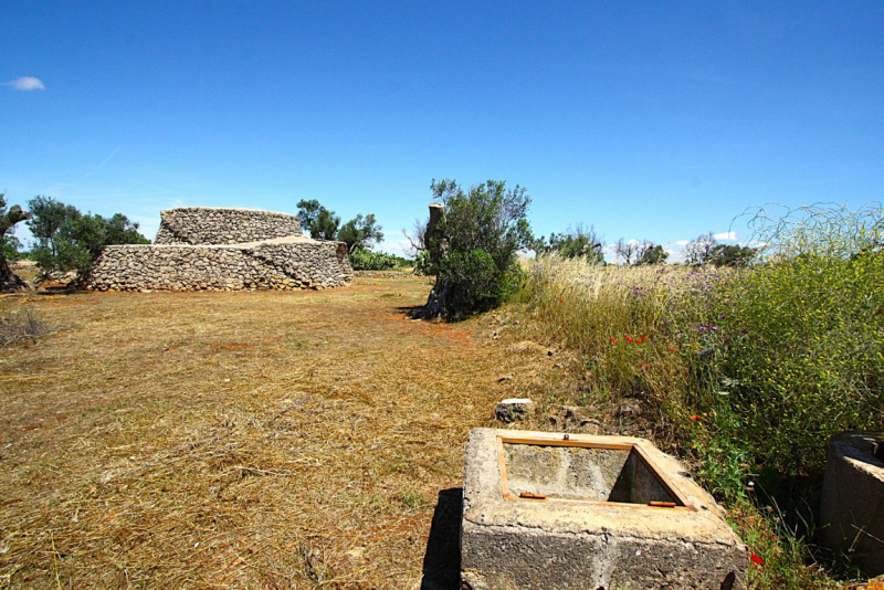 Immagine 21 di Terreno in vendita  in Strada Vicinale Rischiazzi a Parabita