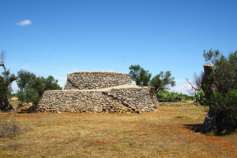 Immagine 22 di Terreno in vendita  in Strada Vicinale Rischiazzi a Parabita