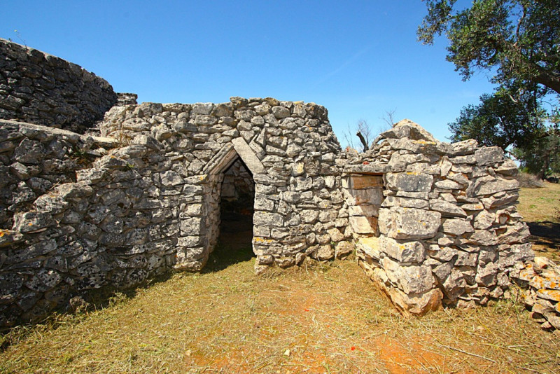 Immagine 28 di Terreno in vendita  in Strada Vicinale Rischiazzi a Parabita