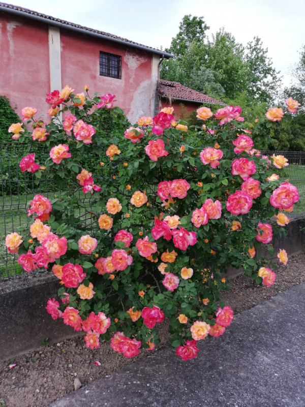 Immagine 5 di Casa bifamiliare in vendita  in Via Crosara, 2/E a Bolzano Vicentino
