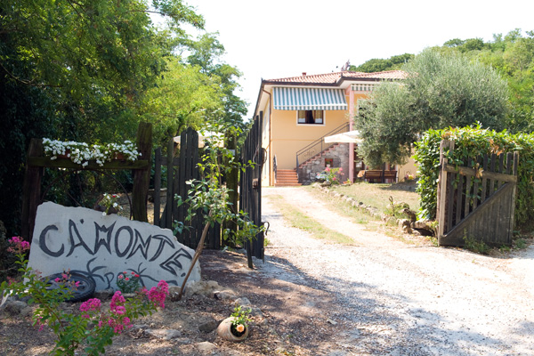 Immagine 3 di Multiproprietà in vendita  in Via Fonteghe a Arqua' Petrarca