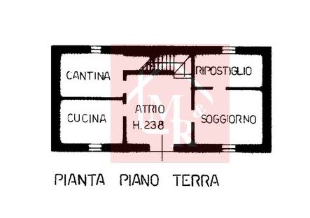 Foto annuncio 57