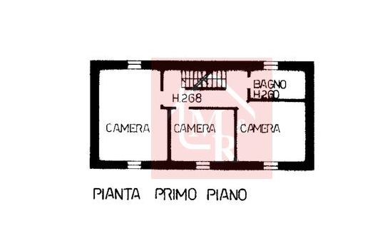 Foto annuncio 58