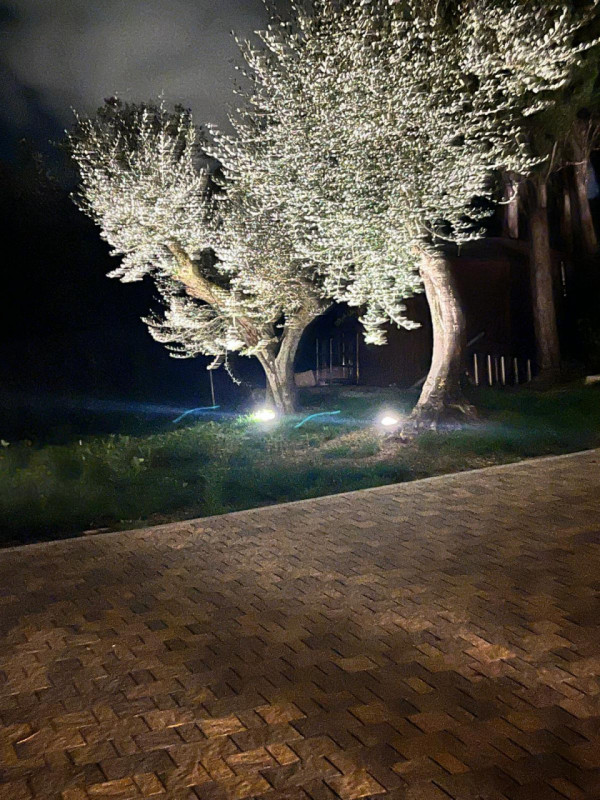 Foto annuncio 35