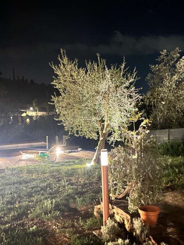 Foto annuncio 53
