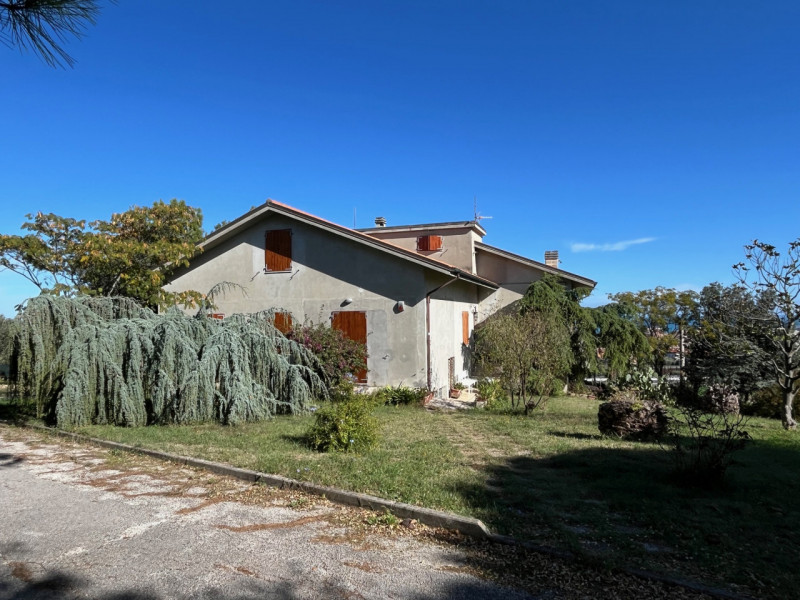 Immagine 1 di Casa indipendente in vendita  a Senigallia