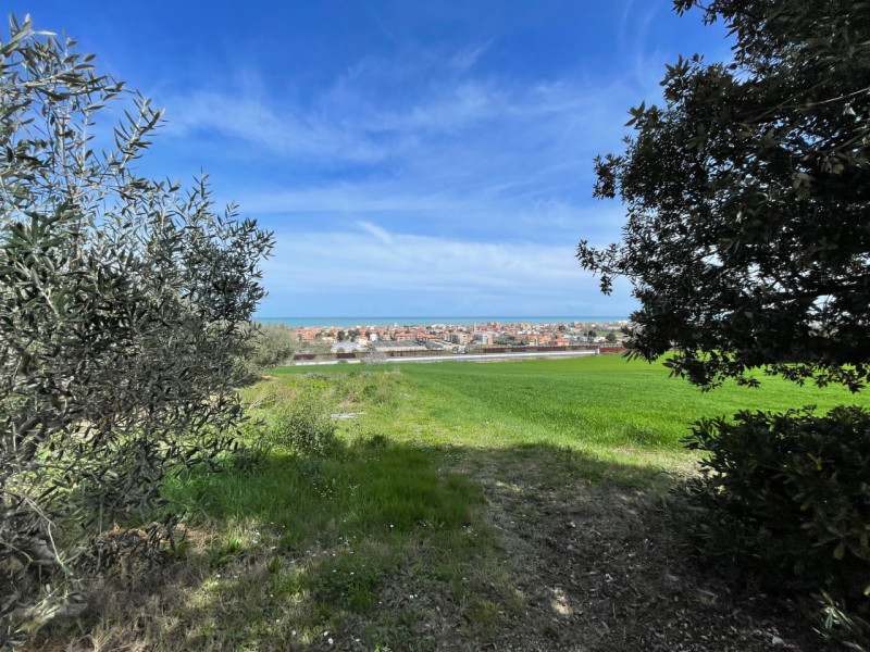 Immagine 6 di Casa indipendente in vendita  a Senigallia