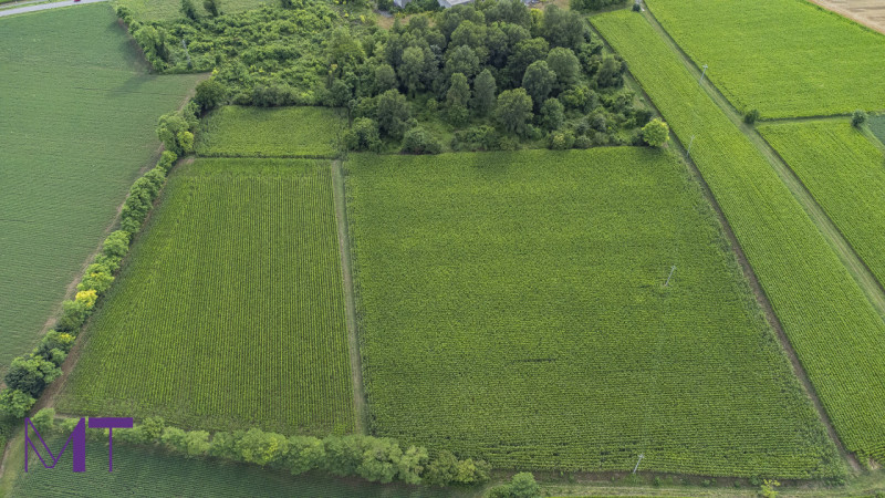 Immagine 1 di Terreno in vendita  in Via Trieste a Aiello Del Friuli