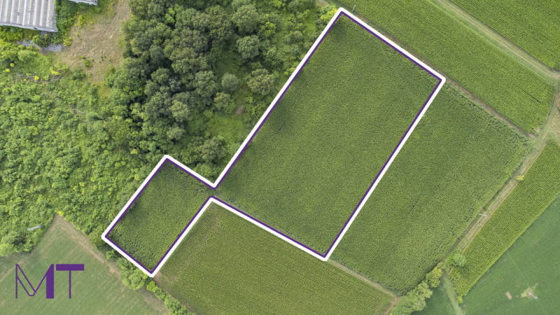 Immagine 2 di Terreno in vendita  in Via Trieste a Aiello Del Friuli