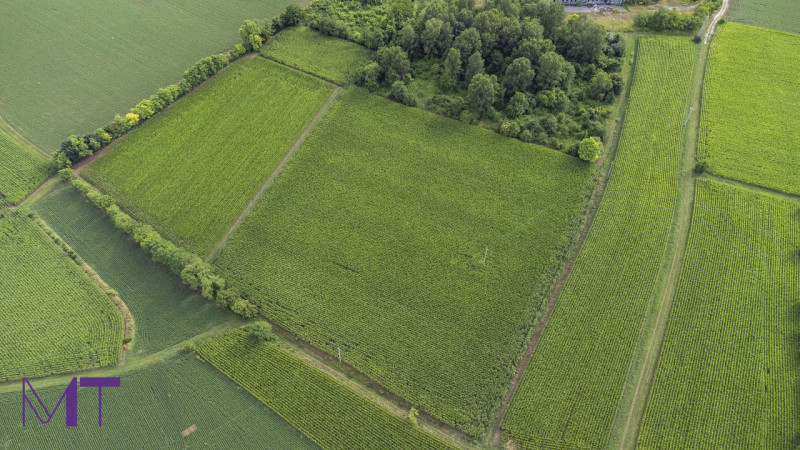 Immagine 3 di Terreno in vendita  in Via Trieste a Aiello Del Friuli