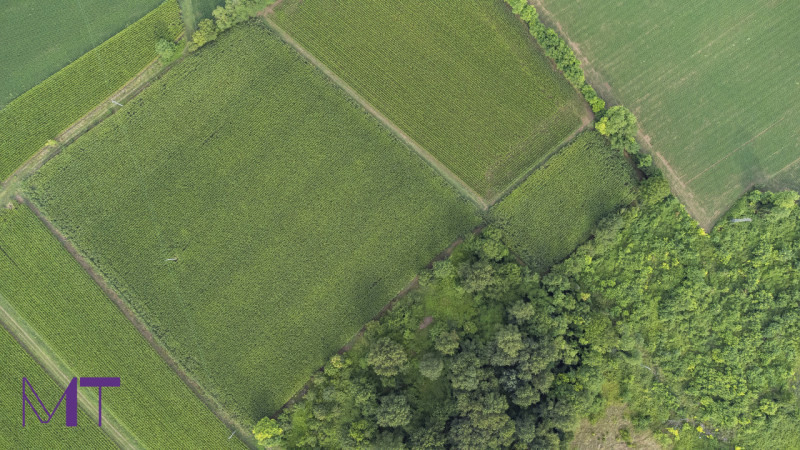 Immagine 5 di Terreno in vendita  in Via Trieste a Aiello Del Friuli