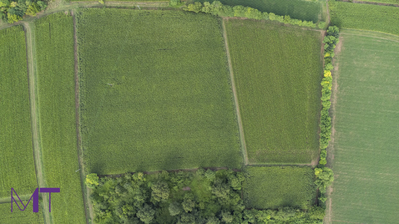 Immagine 6 di Terreno in vendita  in Via Trieste a Aiello Del Friuli