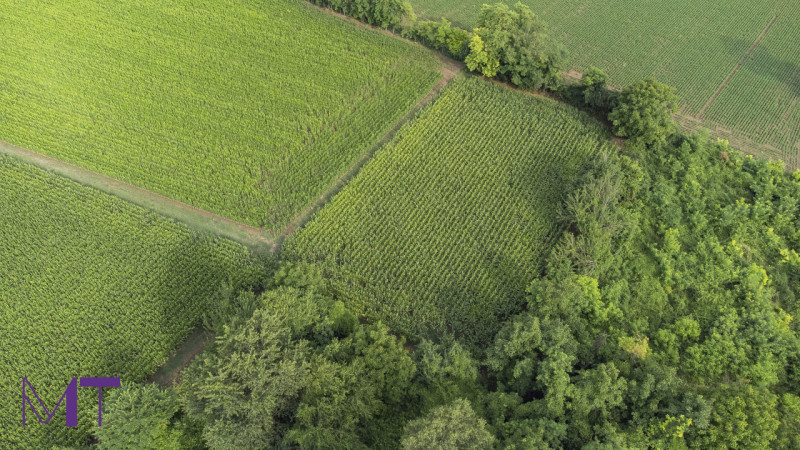 Immagine 7 di Terreno in vendita  in Via Trieste a Aiello Del Friuli