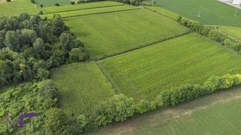 Immagine 8 di Terreno in vendita  in Via Trieste a Aiello Del Friuli