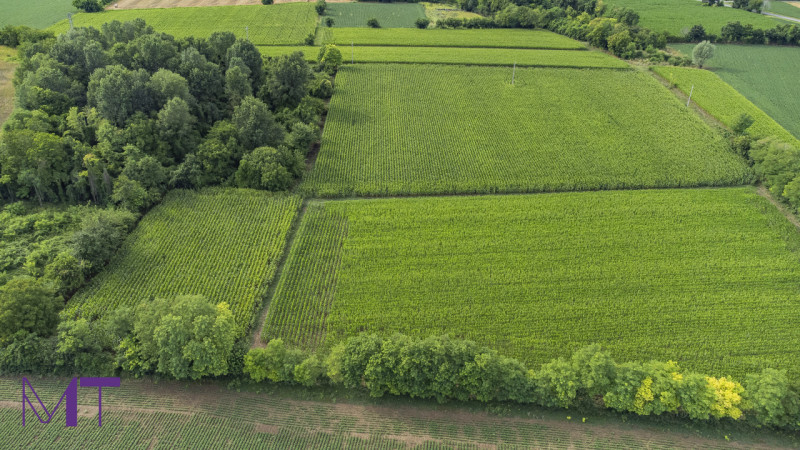 Immagine 9 di Terreno in vendita  in Via Trieste a Aiello Del Friuli