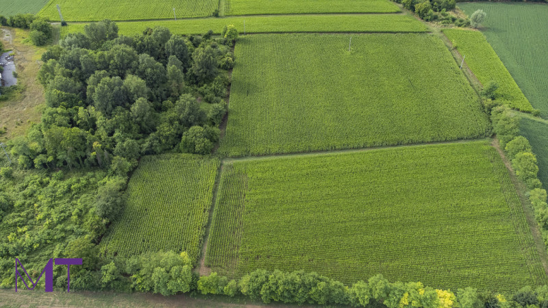 Immagine 10 di Terreno in vendita  in Via Trieste a Aiello Del Friuli