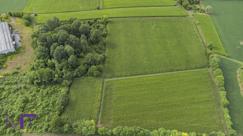 Immagine 11 di Terreno in vendita  in Via Trieste a Aiello Del Friuli