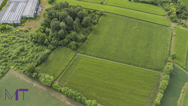 Immagine 12 di Terreno in vendita  in Via Trieste a Aiello Del Friuli