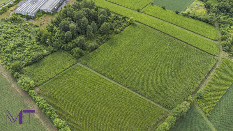 Immagine 13 di Terreno in vendita  in Via Trieste a Aiello Del Friuli