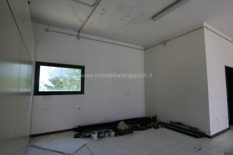 Foto annuncio 5