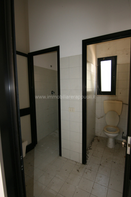 Foto annuncio 6