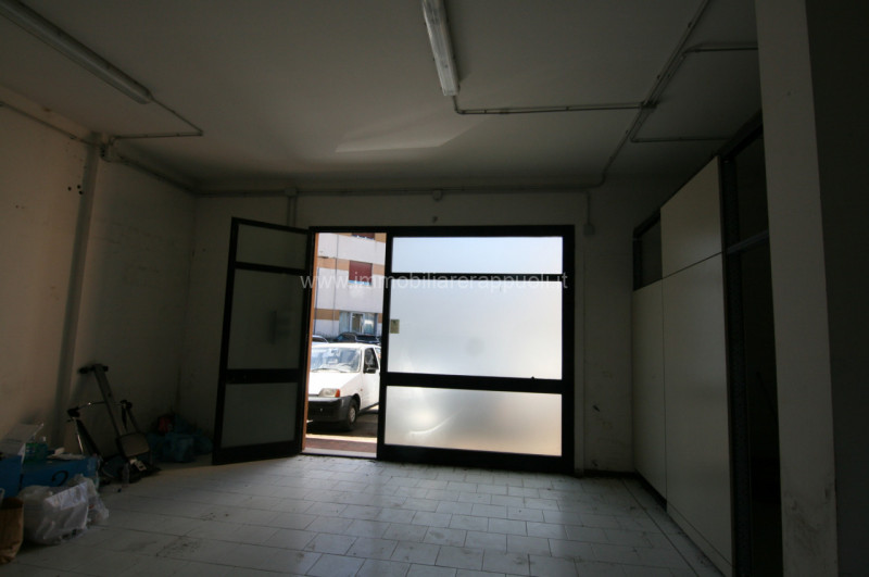 Foto annuncio 7