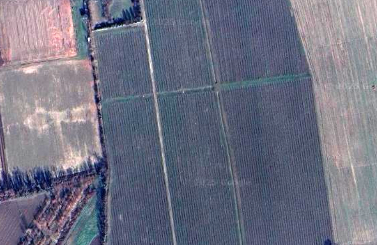 Immagine 1 di Terreno in vendita  a Castelfranco Veneto