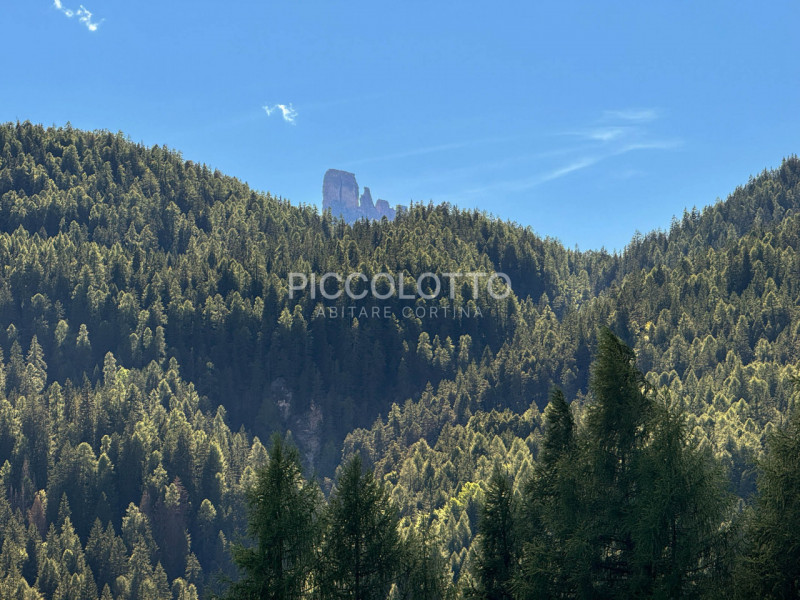 Foto annuncio 4