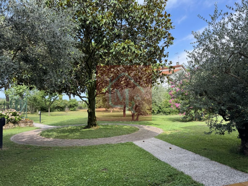 Foto annuncio 80