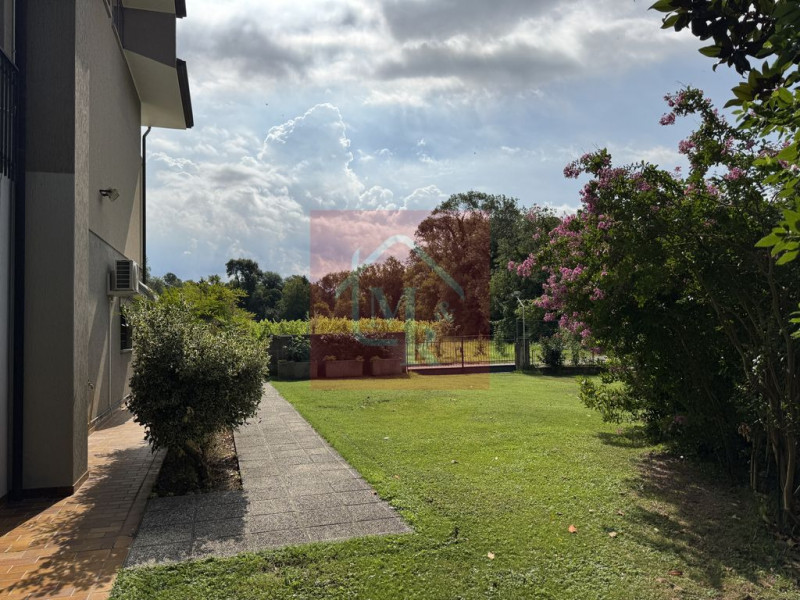 Foto annuncio 81