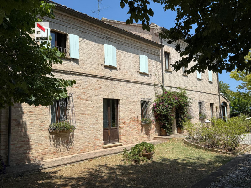 Foto annuncio 5