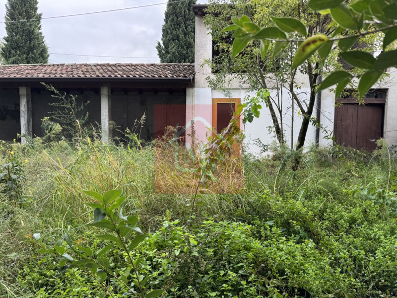 Foto annuncio 68