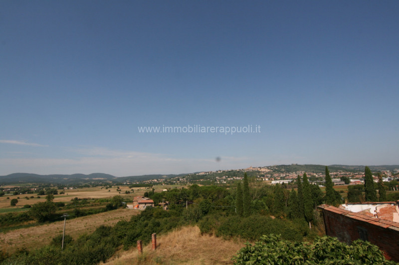 Foto annuncio 14