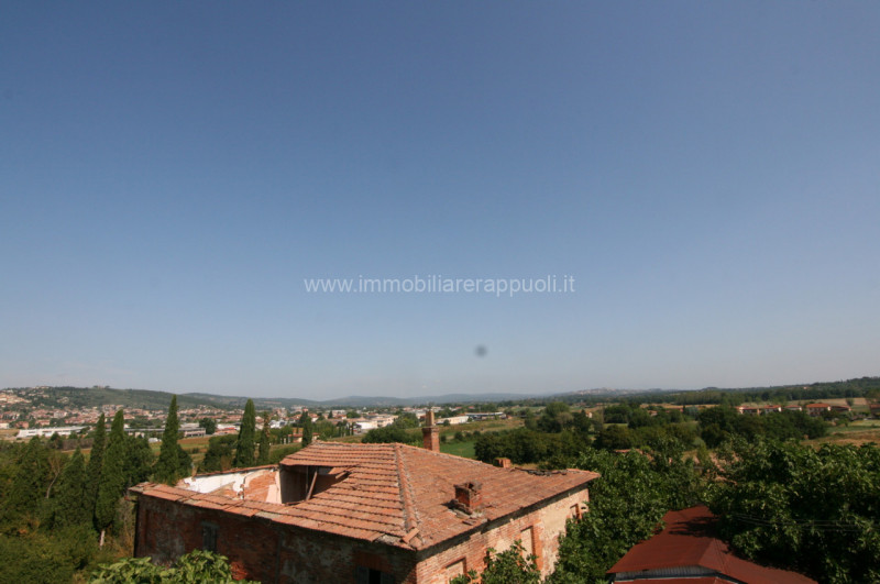 Foto annuncio 15
