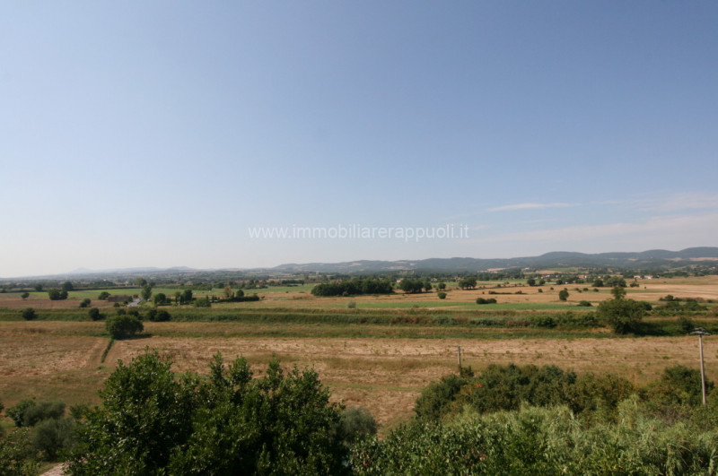 Foto annuncio 19