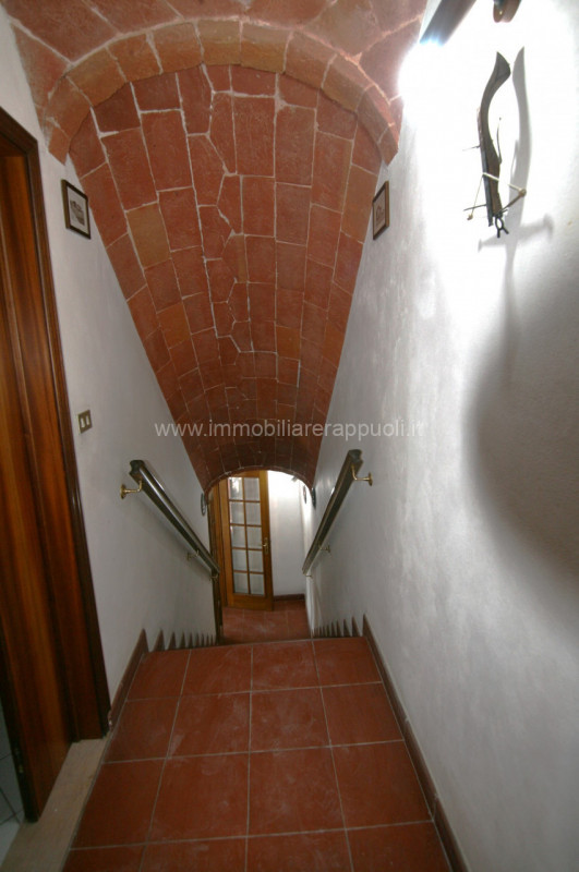 Foto annuncio 26