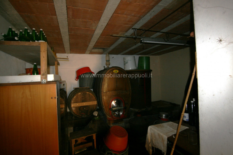 Foto annuncio 56