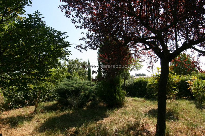 Foto annuncio 71