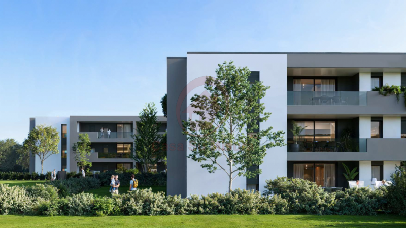 Immagine 5 di Appartamento in vendita  in Via Giacomo Matteotti a Limena