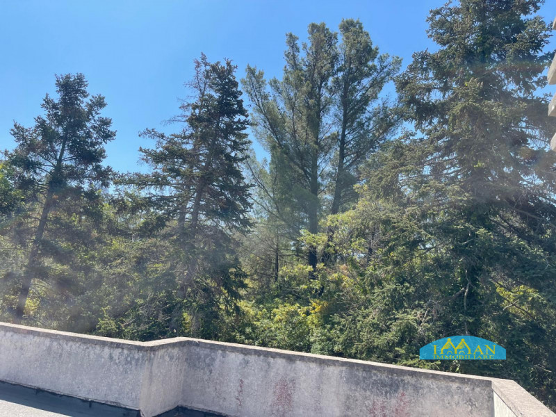 Immagine 17 di Villa in vendita  in Contrada Montedoro Piccolo a Ceglie Messapico