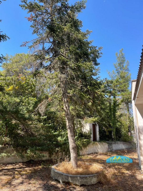Immagine 29 di Villa in vendita  in Contrada Montedoro Piccolo a Ceglie Messapico