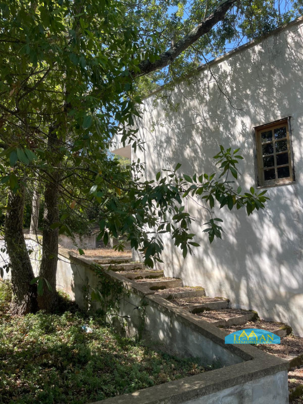 Immagine 31 di Villa in vendita  in Contrada Montedoro Piccolo a Ceglie Messapico