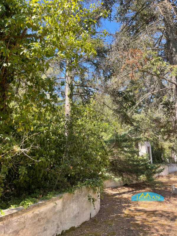 Immagine 32 di Villa in vendita  in Contrada Montedoro Piccolo a Ceglie Messapico