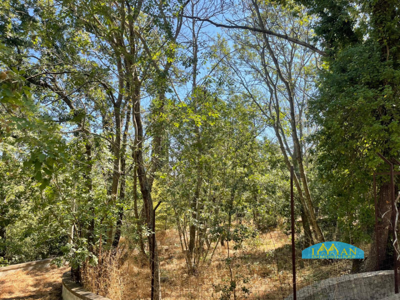 Immagine 33 di Villa in vendita  in Contrada Montedoro Piccolo a Ceglie Messapico