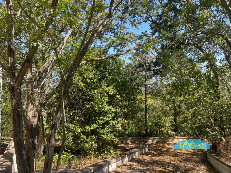 Immagine 34 di Villa in vendita  in Contrada Montedoro Piccolo a Ceglie Messapico