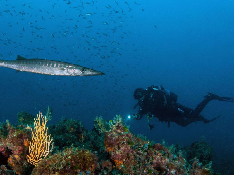 Immagine 18 di Appartamento in vendita  in Via del Littorale, N. 164 a Livorno