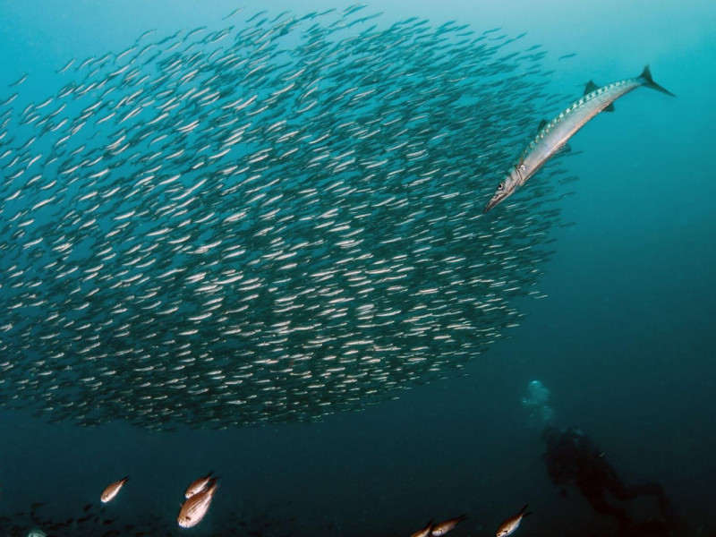 Immagine 19 di Appartamento in vendita  in Via del Littorale, N. 164 a Livorno